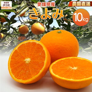 yӂ邳Ɣ[Łzy͔|Ԓ_sgpzystzyʌz_IQY  10kg i2026N2{菇j yӂ邳Ɣ[ lC  LO k ݂