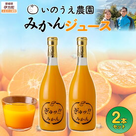 【ふるさと納税】いのうえ農園 みかんジュース2本セット ※離島への配送不可 【ふるさと納税 人気 おすすめ ランキング 柑橘 みかん ミカン 蜜柑 ジュース ミカンジュース みかんジュース フルーツ 果物 産地直送 いのうえ農園 愛媛県産 愛媛県 伊方町 送料無料】 IKTAI014