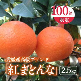 【ふるさと納税】【数量限定】【先行予約】【贈答用】限定100ケース！紅まどんな（生果2.5kg/L～2Lサイズ）｜柑橘 みかん ミカン 蜜柑 フルーツ 高級 特別 有名　※離島への配送不可　※2024年12月上旬～2025年1月下旬頃に順次発送予定