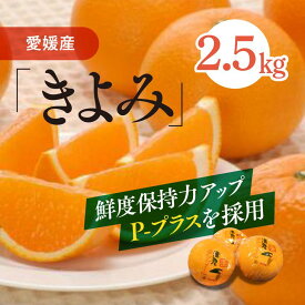 【ふるさと納税】清見タンゴール（Pプラ包装・生果2.5kg）≪みかん 甘い 愛媛県産 完熟≫※離島への配送不可※2024年6月中旬頃より順次発送予定