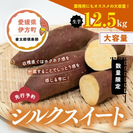 【ふるさと納税】【先行予約】【数量限定】シルクスイート　生芋（12.5kg）| 芋 さつまいも サツマイモ スイートポテト　※2024年12月上旬～2025年4月下旬頃に順次発送予定