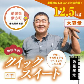 【ふるさと納税】【先行予約】【数量限定】クイックスイート　生芋（12.5kg）| 芋 さつまいも サツマイモ スイートポテト　※2024年12月上旬～2025年4月下旬頃に順次発送予定