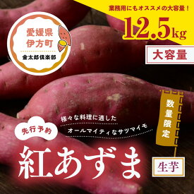 【ふるさと納税】【先行予約】【数量限定】紅あずま　生芋（12.5kg）| 芋 さつまいも サツマイモ スイートポテト　※2024年12月上旬～2025年4月下旬頃に順次発送予定