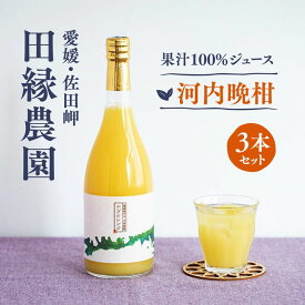 【ふるさと納税】【愛媛県産】田縁農園の無添加100% 河内晩柑ジュース（720ml×3本） ストレート果汁100％