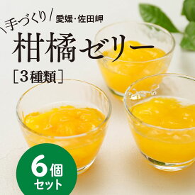 【ふるさと納税】【皮までまるごと国産無添加】愛媛まるごとゼリーセット（6個）