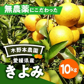 【ふるさと納税】【数量限定】農園直送！愛媛県産 きよみ 10kg※着日指定不可※2024年2月下旬～5月下旬頃に順次発送予定