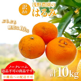 【ふるさと納税】【先行予約】【訳あり】はるみ計10kg※離島への配送不可（2027年2月中旬頃より順次発送予定）IKTAC032