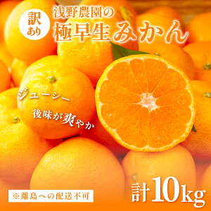 yӂ邳Ɣ[Łzys\z_̋ɑ݂ 󂠂10kg ws ւ̔zsi2025N10{`11{ɏj y ӂ邳Ɣ[ lC  LO 
