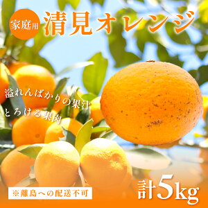 yӂ邳Ɣ[ŁzyƒpzIWv5kg ւ̔zsi2026N3{菇\j y ӂ邳Ɣ[ lC  LO ݂ k ~J  mikan ʕ t
