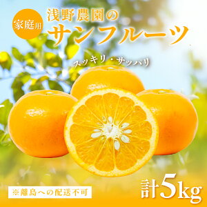 yӂ邳Ɣ[Łzys\zyƒpz_̃Tt[c5kg ւ̔zsi2026N3{菇\j y ӂ邳Ɣ[ lC  LO k ݂ ~J