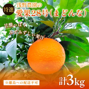 yӂ邳Ɣ[Łzys\zyʌz_̈28i܂ǂȁjI3kg ւ̔zsi2025N12{`2026N1{ɏ\j y ӂ邳Ɣ[ lC  