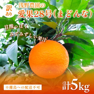 yӂ邳Ɣ[Łzys\zyʌz_̈28i܂ǂȁj󂠂5kg ւ̔zsi2025N12{`2026N1{ɏ\j y ӂ邳Ɣ[ lC  