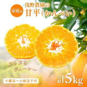 yӂ邳Ɣ[Łzys\zyʌzyƒpz_̊Õi؂j5kg ւ̔zsi2026N2{菇\j y ӂ邳Ɣ[ lC  LO 