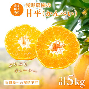 yӂ邳Ɣ[Łzys\zyʌzy󂠂z_̊Õi؂j5kg ւ̔zsi2026N2{菇\j y ӂ邳Ɣ[ lC  LO 