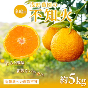 yӂ邳Ɣ[Łzys\zyƒpzsm Iׂ 3kg ` 5kg ւ̔zsi2026N2{菇\j y ӂ邳Ɣ[ lC  LO k ݂ ~J