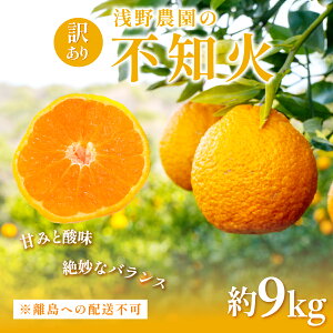 yӂ邳Ɣ[Łzys\z󂠂 sm Iׂ v5kg ` v9kg ւ̔zsi2026N2{菇\j y ӂ邳Ɣ[ lC  LO k ݂ ~J 