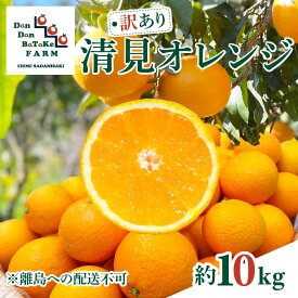 【ふるさと納税】【先行予約】【訳あり】清見オレンジ 約10kg ※離島への配送不可　※2027年3月中旬より順次発送予定 IKTAU011