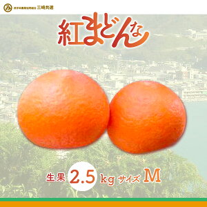 yӂ邳Ɣ[Łzys\zyʌzypze100P[XIg܂ǂ 2.5kg IׂiMTCY or L`2LTCYjւ̔zsi2025N12{菇\j y k 