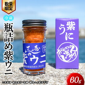 【ふるさと納税】【数量限定】瓶詰め紫ウニ（60g・単品） 冷蔵 ※北海道・東北地方・沖縄・離島への配送不可 【ふるさと納税 人気 おすすめ ランキング うに ウニ 雲丹 瓶詰め 瓶詰 冷蔵 三崎 海鮮 新鮮 愛媛県 伊方町 送料無料】IKTJ023