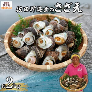 yӂ邳Ɣ[ŁzyʌzcCm̂2kg kCEknEEւ̔zs y ӂ邳Ɣ[ lC  LO  TUG CN c Q ɕ 