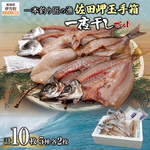 yӂ邳Ɣ[Łzy{ނ ̋zc ʎ蔠Zbg 5×e2iv10j y ӂ邳Ɣ[ lC  LO  AW  To  ӂ   銱  