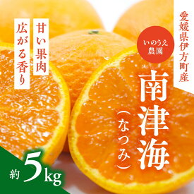 【ふるさと納税】いのうえ農園のなつみ5kg※着日指定不可※離島への配送不可※2024年5月頃より順次発送予定