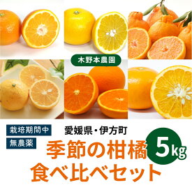 【ふるさと納税】【農家厳選】木野本農園　季節の柑橘食べ比べセット 5kg※着日指定不可※2024年1月上旬～5月下旬頃に順次発送予定