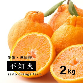 【ふるさと納税】【先行予約】【お試し！】Saito Orange Farmの不知火2kg ｜ 柑橘 みかん ミカン フルーツ 果物 でこぽん デコポンと同品種 愛媛　※離島への配送不可　※2025年3月中旬頃より順次発送予定