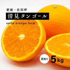 【ふるさと納税】【先行予約】Saito Orange Farmの家庭用清見タンゴール5kg ｜ 柑橘 みかん ミカン フルーツ 果物 愛媛　※離島への配送不可　※2025年3月下旬頃より順次発送予定