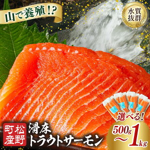 yӂ邳Ɣ[ŁzyIׂeʁzyX̍ŗ{BzgEgT[ 500gi250g×2PjE1kgi250g×4Pj b hg  ؂g ӂ邳Ɣ[ Y Ⓚ ւ̔zs