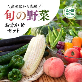 【ふるさと納税】道の駅「虹の森公園まつの」産直市 朝採り野菜セット7〜9種類※着日指定不可