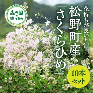 生花 10本の人気商品 通販 価格比較 価格 Com