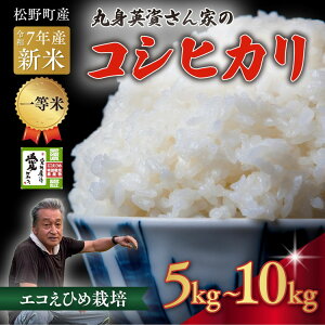 �y�ӂ邳�Ɣ[�Łz�y�I�ׂ���e�ʁz�yR7�N�Y�V�āz�y�ꓙ�āz�ېg����Ƃ̃G�R���Ђߍ͔|�R�V�q�J�� 5kg/10kg �b �� �ߘa7�N�Y 5kg 10kg ���Y �ӂ邳�Ɣ[�� �������ւ̔z���s��