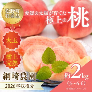 yӂ邳Ɣ[Łzy2026Noוs\zQ̓ǂ uj_v͂ʓ 2kg b ӂ邳Ɣ[  ① 쒬 t[c Mtg kCEEւ̔zs 2026N