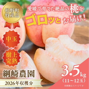 yӂ邳Ɣ[Łzy2026Noוs\zQ̓ǂuj_v͂钆ʓ 3.5kg b ӂ邳Ɣ[  ① 쒬 t[c Mtg kCEEւ̔zs 2026