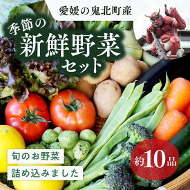【ふるさと納税】鬼北の大地が育んだ新鮮野菜！季節の新鮮野菜詰め合わせ　＜野菜 やさい 詰め合わせ 新鮮 旬 季節 愛媛県 鬼北町＞