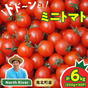 【ふるさと納税】【市場出荷サイズ!】渡邊さんちのミニトマト 約6kg(30パック) | 愛媛県 鬼北町 株式会社North River マリネ 湯むき パスタ スープ おつまみ 11月 ベジタブル 果物 トマト 野菜