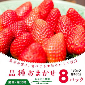 【ふるさと納税】いちご 品種おまかせ8パック あかまつ農園｜鬼北町 苺 農家直送 レッドパール 紅い雫 紅ほっぺ 贈り物 ギフト　※2025年2月中旬～3月中旬頃に順次発送予定