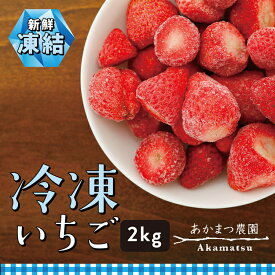 【ふるさと納税】冷凍いちご 2kg あかまつ農園｜鬼北町 苺 農家直送 レッドパール 紅い雫 スムージー ジャム お菓子づくり