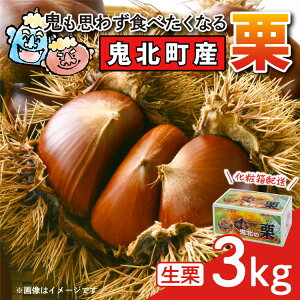 yӂ邳Ɣ[ŁzyŠIEzSkY 3kg b 嗱 I aI YI n OgI  I I I ʕ t[c s\ ʌ ւ̔zs 2025N9{`10