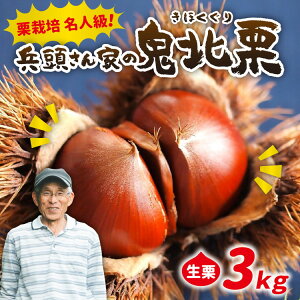 yӂ邳Ɣ[ŁzyR8NYzystzyʌzƂ̋SkYI3kg b 嗱 I aI YI n OgI  I I I ʕ t[c s\ ʌ 