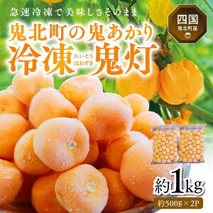 yӂ邳Ɣ[ŁzⓀSiقj500g×2pbN b S zEYL Yi Ⓚ t[c W Q Sk
