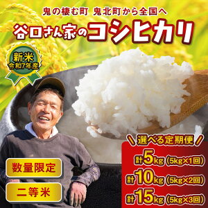 yӂ邳Ɣ[ŁzyIׂցzJƂ̃RVqJ 5kg`15kg PiE2`3 b    5kg 10kg 15kg ߘa7NY čς QSk ւ̔zs 2025N9{
