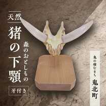 楽天市場】猪 牙の通販