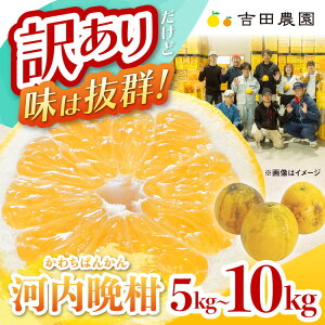 �y�ӂ邳�Ɣ[�Łz�_�I�ׂ���e�ʁ^ �󂠂� �͓��ӊ� 5kg 10kg�i�ƒ�p�j �����k �� �ʕ� ���Y �t���[�c �݂��� ���� �󂠂� �ƒ�p �a�� �O���[�v�t���[�c �u�����h ���Q �ʎ� �r�^�~���� ��2