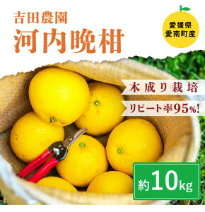 �y�ӂ邳�Ɣ[�Łz����Y�͓̉��ӊ�10kg(��22�`32��) �� ���k �� �ʕ� ���Y �t���[�c �݂��� ���� �a�� �O���[�v�t���[�c �u�����h ���Q �ʎ� �r�^�~�� �� ���k�C���E����E�����ւ̔z���s��