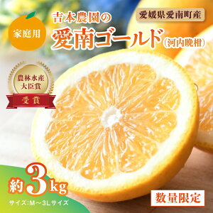 yӂ邳Ɣ[Łzys\zg{_̈S[hi͓ӊjƒp3kg@k  ʕ Y t[c ݂  ƒp a O[vt[c uh ʎ r^~ Q