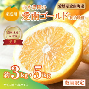 �y�ӂ邳�Ɣ[�Łz�_�I�ׂ���e�ʁ^�y��s�\��z�g�{�_���̈���S�[���h�i�͓��ӊ��j�ƒ�p�@��3kg 5kg�@�����k �� �ʕ� ���Y �t���[�c �݂��� ���� �ƒ�p �a�� �O���[�v�t���[�c �u����