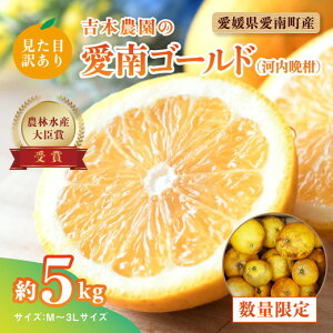 �y�ӂ邳�Ɣ[�Łz�y��s�\��z�����ڂ������󂠂�I�g�{�_���̖؎�芮�n����S�[���h�i�͓��ӊ��j��5kg�����k �� �ʕ� ���Y �t���[�c �݂��� ���� �󂠂� �ƒ�p �a�� �O���[�v�t���[�c