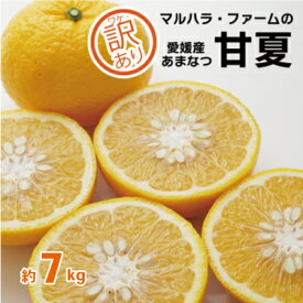 【ふるさと納税】 【訳あり】マルハラファーム 甘夏 7kg 発送期間: 3月初旬～5月末 先行予約 訳あり 甘夏 みかん 柑橘 あまなつ グレープフルーツ 果物 おいしい 愛媛 愛南 産地直送 国産 農家直送 数量限定 人気 限定 ジューシー 甘い マーマレード ピール デザート